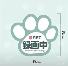 Item thumbnail for item 7fe3949c-b7fc-49a2-ae01-efb7977c1483