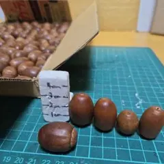 どんぐりミックス、工作素材100個 No.724