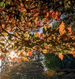 まりか様　確認用