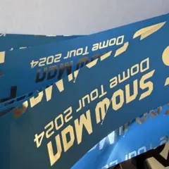 ☆RAYS SnowMan DomeTour 2024 銀テープ ここ様 1本