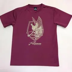 ファジアーノ岡山 トップス Tシャツ Sサイズ サッカー Jリーグ スポーツ