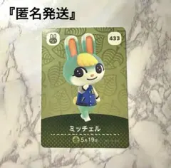Switch あつまれどうぶつの森 ミッチェルamiiboカード付き 新住民