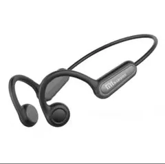 Item thumbnail for item 8b1bd429-4b59-42df-8c71-de55f0f4c234