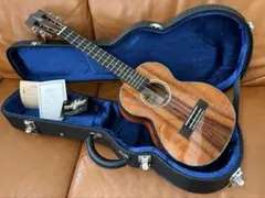 Item thumbnail for item 8fa5e87a-e60d-4f98-9335-ca067e9aef14