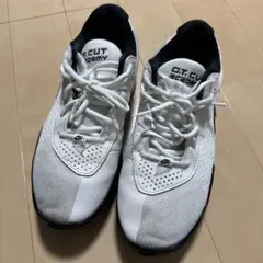 Item thumbnail for item a6261a78-bab2-4eb3-b1e6-c01ac290b728