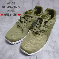 新品タグ付 ASICS GEL-KAYANO TRAINER EVO 28cm