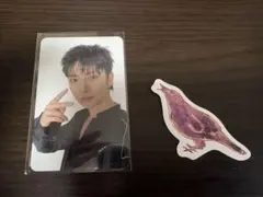 SEVENTEEN シーグリ ジョシュア