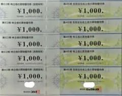 ビックカメラ コジマ 株主優待券 10000円分（1000円券×10枚）