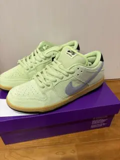 Nike SB Dunk Low Verdugo Mountain 28.5cm