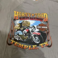 USA製 00s ハーレーダビッドソン Tシャツ 2XL グレー BIGサイズ