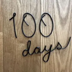 100 days ワイヤー
