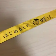 ゆず 銀テープ 北川悠仁 岩沢厚治