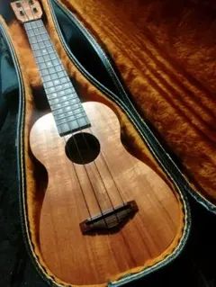 Item thumbnail for item d8aeeff2-aa8c-41a9-8277-164ec78b483d