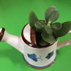 2025年最新】ジョウロ 陶器の人気アイテム - メルカリ