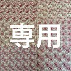 T.M様 リクエスト 3点 まとめ商品