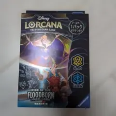 ロルカナカード パイレーツキャプテン ミッキー ディズニー クルーズ