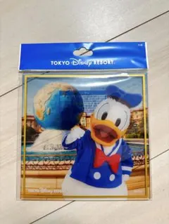 ディズニー 色紙 ドナルド