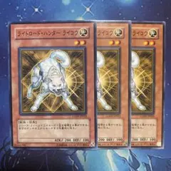 2026年最新】ライトロードハンターライコウ 英語の人気アイテム - メルカリ