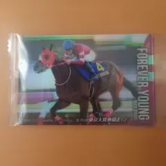 2026年最新】坂井瑠星 トレカの人気アイテム - メルカリ