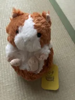 ころもっふる モルモット ぬいぐるみ サンレモンのサムネイル