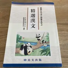 精説漢文 定着ノート - メルカリ