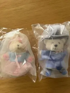 Item thumbnail for item 8e71d114-e947-4e24-9c97-db373f6e24ef