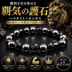 最強の魔除けモリオン10㎜AAA天然石パワーストーン ブレスレット 