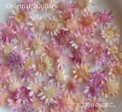 Item thumbnail for item 08f9b5a0-ac79-401f-8016-0f9275b0879b