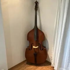 2026年最新】コントラバス 弓ケースの人気アイテム - メルカリ