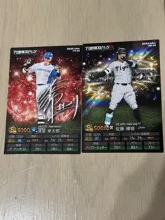 カルビー付録●プロ野球スピリッツA カード2枚