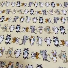 4ニャンズママ(＊断捨離します＊)様 リクエスト 2点 まとめ商品