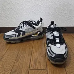 Nike Air Vapormax EVO 