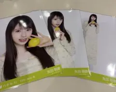 乃木フェス 矢田萌華 乃木坂46 - メルカリ