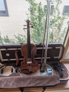 2025年最新】弦楽器の人気アイテム - メルカリ 極美品 Reincarnation