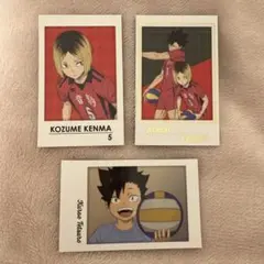 ハイキュー キャラポトレ 黒尾鉄朗 孤爪研磨 日向翔陽 箔押し 幼少期
