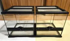 爬虫類用 飼育ケージ ガラス製 鍵付き 横60センチ縦55センチ奥30センチ