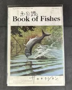 2026年最新】魚図鑑 サカナクションの人気アイテム - メルカリ