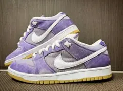 Nike SB Dunk Low Pro ISO 