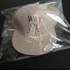 Item thumbnail for item 7b737d27-b791-4702-a03c-af3dbba0cb36