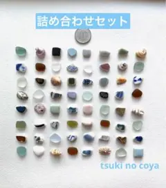 シーグラス　シー陶器　貝殻　SEP-43