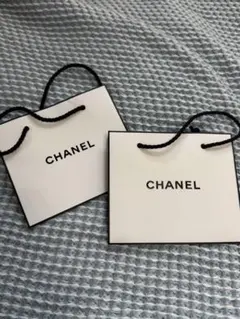 CHANEL ショップ袋 2枚セット