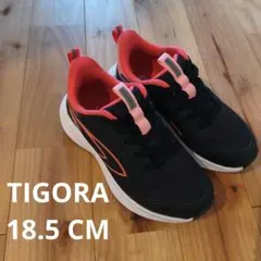 TIGORA キッズスニーカー 18.5cm