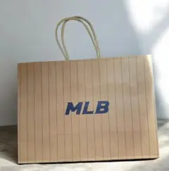 Item thumbnail for item 49d00049-4371-4444-9cf9-28244dc39078