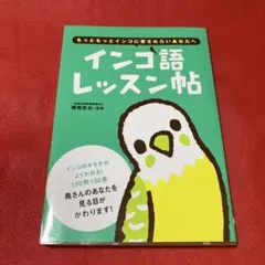 インコ語レッスン帖 ・100問100答美品