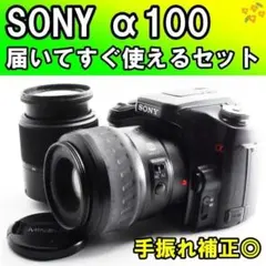 ⭐️SONY ソニー α55 DT 18-55mm☆ショット数11698☆ - メルカリ