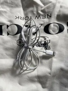 Apple純正　ライトニング イヤホン