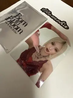 HANA Born to Bloom in TOUR 2026カード