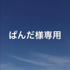 ぱんだ様 リクエスト 4点 まとめ商品