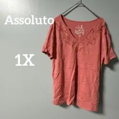 Assoluto コーラルピンク Vネック Tシャツ 1X