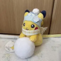 2026年最新】雪ピカチュウの人気アイテム - メルカリ